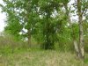 Перспективная ООПТ Каламбетский берег Кубани