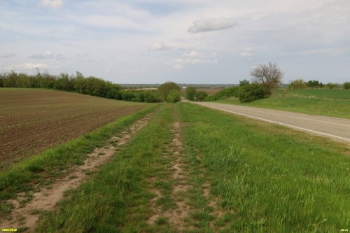Перспективная ООПТ Леоновский байрачный лес