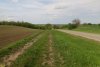 Перспективная ООПТ Леоновский байрачный лес
