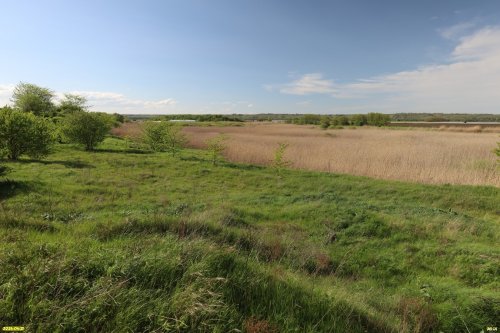 Перспективная ООПТ Каламбетская старица