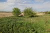 Перспективная ООПТ Каламбетская старица