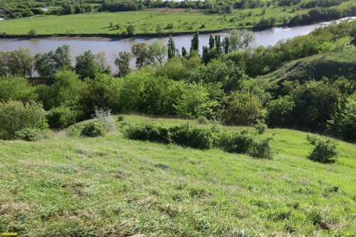 Перспективная ООПТ Тбилисский высокий берег