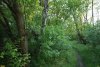 Перспективная ООПТ Нижнетбилисский лес