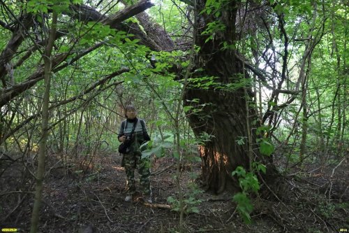 Перспективная ООПТ Нижнетбилисский лес