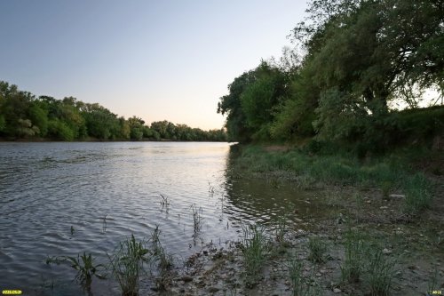 Перспективная ООПТ Нижнетбилисский лес