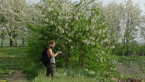 Обследование перспективной зелёной зоны в станице Воздвиженской (1)