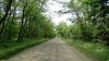 Перспективная ООПТ Воздвиженская лесополоса