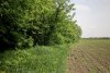 Перспективная ООПТ Петропавловская роща