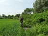 Обследование перспективной ООПТ Роща на Чамлыке