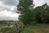 Перспективная ООПТ Курганинский лес примыкает с севера к протоке реки Лаба