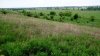Перспективная ООПТ Урмийская степь