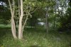 Перспективная ООПТ Михайловская роща