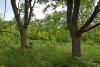 Перспективная ООПТ Горькобалковский лес с участками степи 