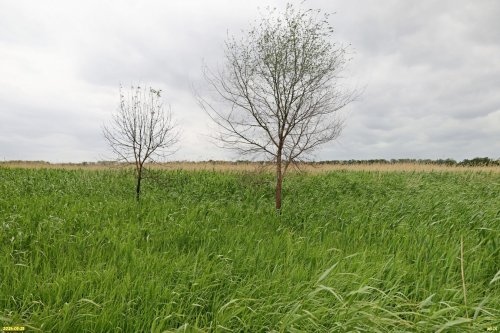 Перспективная ООПТ Горькобалковская падина