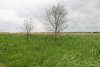Перспективная ООПТ Горькобалковская падина