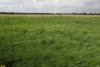 Перспективная ООПТ Горькобалковская падина