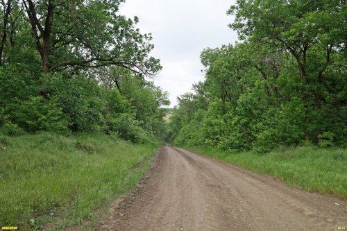 Перспективная ООПТ Лес Воровская балка