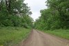 Перспективная ООПТ Лес Воровская балка