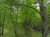 Перспективная ООПТ Урочище Холодная балка