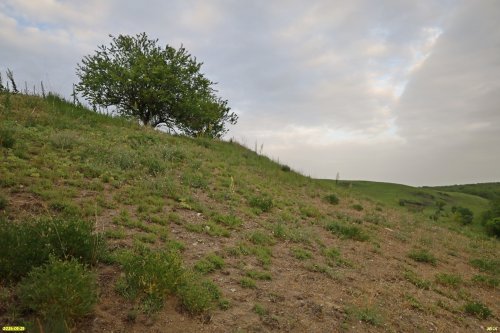 Перспективная ООПТ Урочище Холодная балка