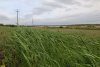 Перспективная ООПТ Озеро Солёное и балка Холибердова
