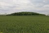 Перспективная ООПТ Курган Три мальчика