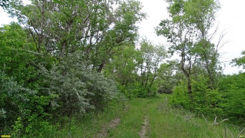 Перспективная ООПТ Зуевская гряда