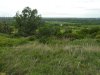 Перспективная ООПТ Зуевский лес