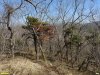 Перспективная ООПТ Костыркин хребет