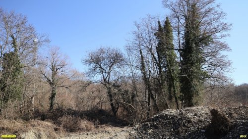 Перспективная ООПТ Урочище в устье ручья Шепелёва 