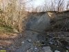 Перспективная ООПТ Горский лес