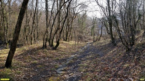 Перспективная ООПТ Горский лес