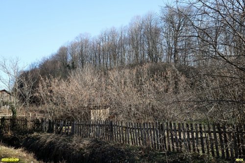 Перспективная ООПТ Горский лес