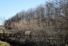 Перспективная ООПТ Горский лес