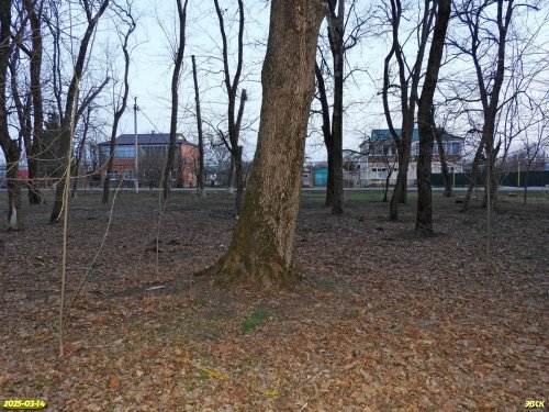 Перспективная ООПТ Октябрьский парк