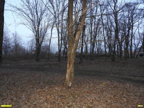 Перспективная ООПТ Октябрьский парк