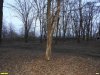 Перспективная ООПТ Октябрьский парк