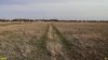 Перспективная ООПТ Яснопольская сазовая степь