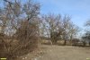 Перспективная ООПТ Широчанская роща