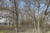 Перспективная ООПТ Широчанская роща