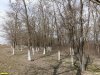 Перспективная ООПТ Широчанская роща