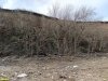 Перспективная ООПТ Змеиный берег