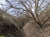 Долина сезонного водотока в перспективной ООПТ Змеиный берег