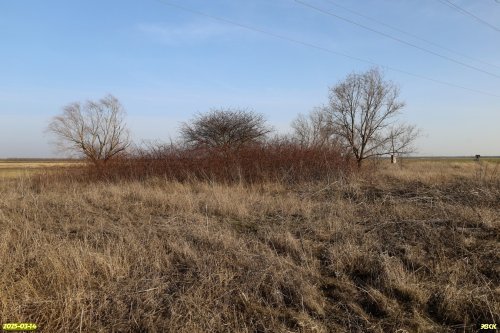 Перспективная ООПТ Байкова падь