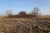 Перспективная ООПТ Байкова падь