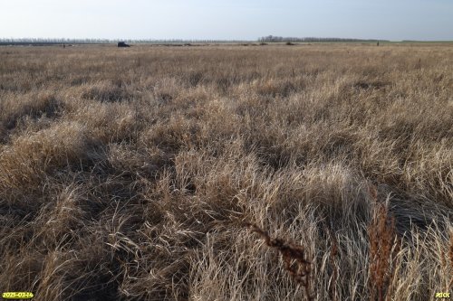 Перспективная ООПТ Братская падь