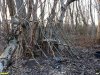 "Элементы благоустройства" в перспективной ООПТ Октябрьская ореховая роща