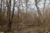 Перспективная ООПТ Александровский лесопарк