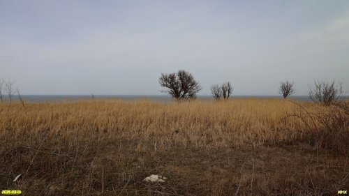 Перспективная ООПТ Воронцовская степь