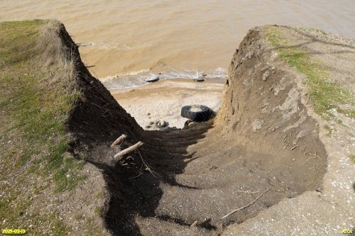 Спуск к Азовскому морю в перспективной ООПТ Воронцовская софоровая роща